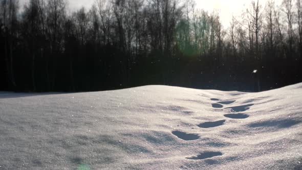Dreamy magical snowfall covers foot path in winter snow, close shot