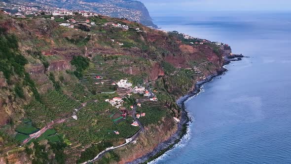 Terraced farm fields on cliffside overlooks Atlantic ocean, Madeira; aerial