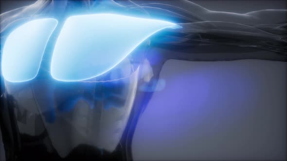 Pectorsl Muscule alt