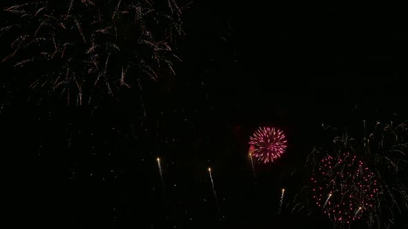 Colorful Firework display at night on sky background alt
