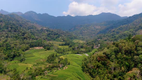 Rolling hills and mountains of Java, cultivated fields and jungle aerial view