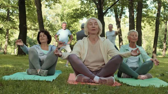 Aged Female Yogis Meditating Outdoors