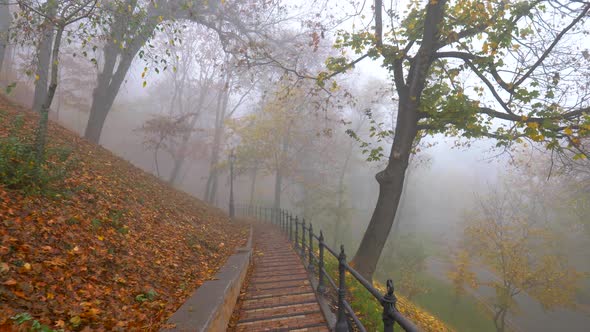 Camera Moving Down the Stairway in Mysterious Autumn Misty Park Among Fallen Leaves. FHD