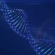 DNA Helix Turning Around on Blue Background - VideoHive Item for Sale
