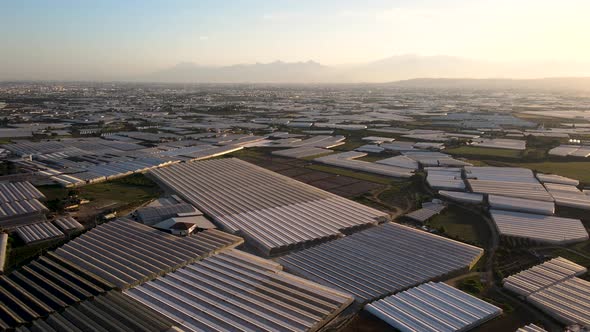 Flying Over a Industrial Greenhouse