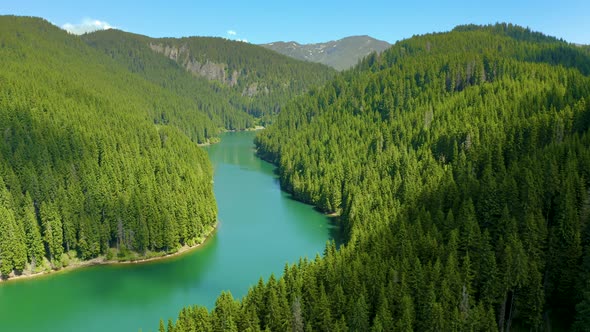 Aerial view of blue lake and green forests, Fresh water, Lake Baikal, Green Forest