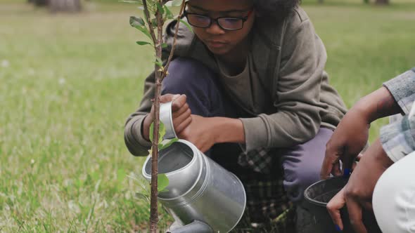 African American Boy Watering Small Tree Outdoors