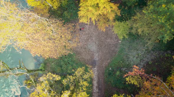 Aerial top down, colorful autumn trees next to river in park. Fast fly up