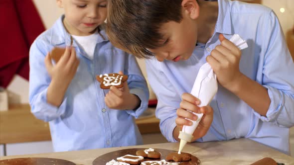 Two Brothers Is Decorating a Christmas Cookies with Pastry Bag at Home Kitchen