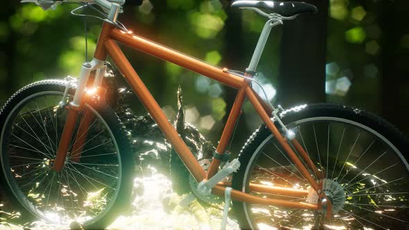 Mountain Bike on the Forest Path alt