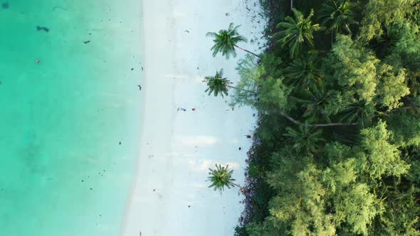 Aerial above scenery of tropical coast beach lifestyle by blue lagoon and white sand background of a
