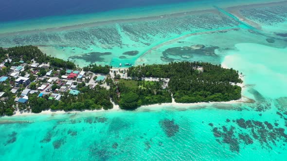 Aerial drone shot tourism of beautiful bay beach wildlife by blue water and white sandy background o