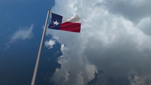 Texas State Flag Waving 4K