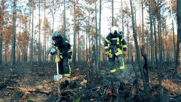 Residual Forest Fire is Getting Handled By Firefighters