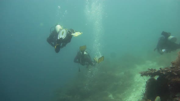 Coral Reef with Fish Underwater. Camiguin, Philippines