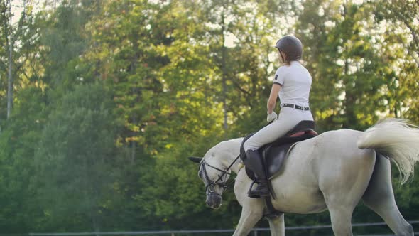 Slow Motion: Horseback Riding From Horsewomen