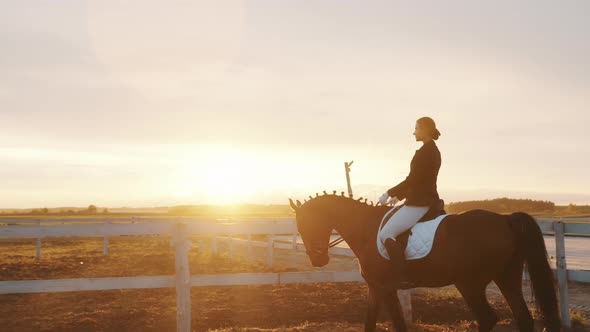 Female Jockey Riding On Dark Bay Horse In The Sandy Arena Along The Wooden Fence