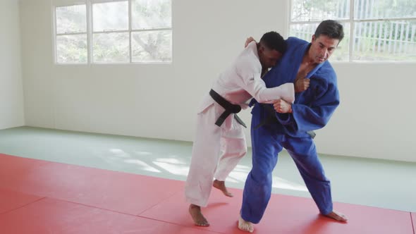 Judokas training by doing a randori on the judo mat