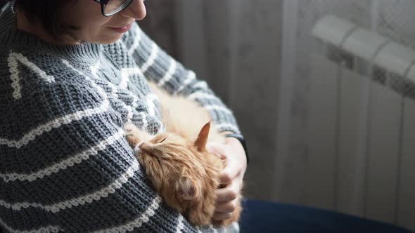 Cute Ginger Cat Dozing on Woman Arms. Woman in Grey Sweater Stroking Her Fluffy Pet. Cozy Home.