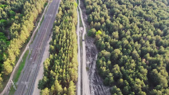 Aerial View Of Green Forest Landscape