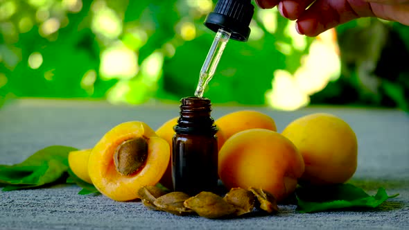 Apricot Kernel Essential Oil in a Bottle