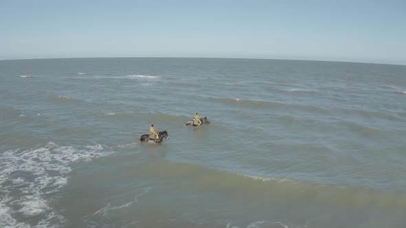 Aerial view of persons riding a horse, Vlaanderen, Belgium.