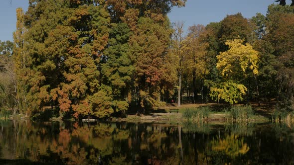 Reflections on pond water and color of trees in the park 3840X2160 UltraHD  footage - Relaxing morni
