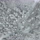 Top Down View Of Car Driving Trough A Winter Forest With Light Snowfall - VideoHive Item for Sale