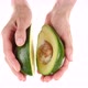Female hands hold avocado, close up - VideoHive Item for Sale