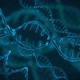 DNA - VideoHive Item for Sale
