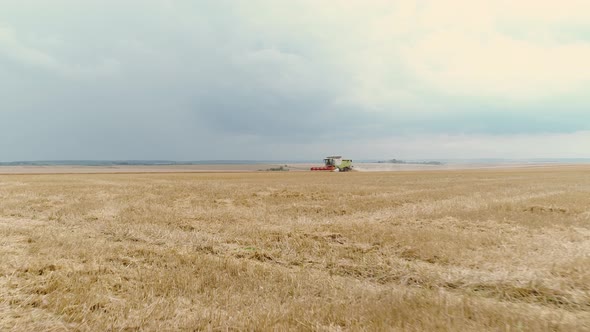 Agricultural Combines Harvesting Wheat On The Big Field.