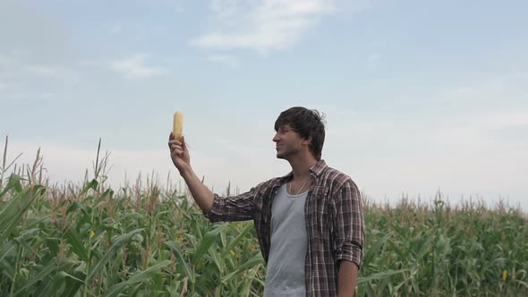 An agronomist in a corn field inspects the corn crop. Agriculture.