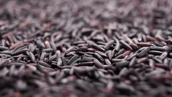 Black wild berry jasmine rice. Falling dry uncooked grains in slow motion