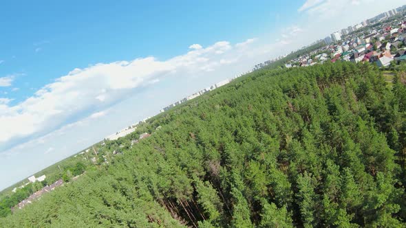 Field Over a Green Forest Against the Sky