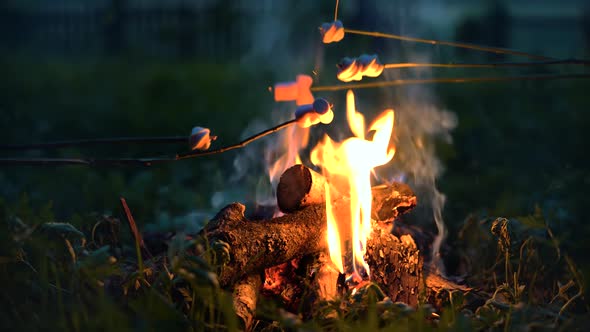 Toasting Marshmallows On Sticks On Fire. Roasting Food Over Fire In Camping. Grilled Marshmallow.