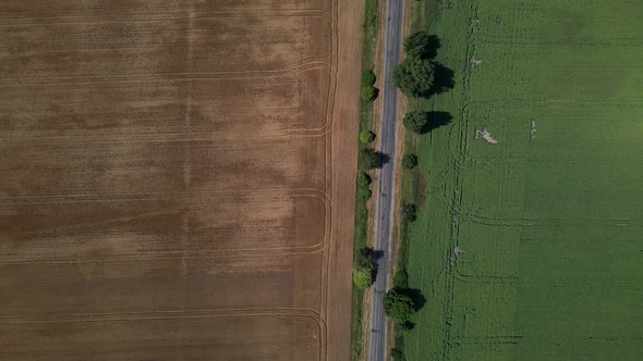 Drone aerial view of wheat harvest, wheat field background in the sun day