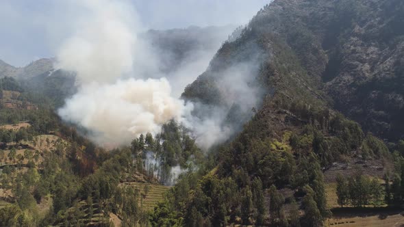 Forest Fire in the Mountains