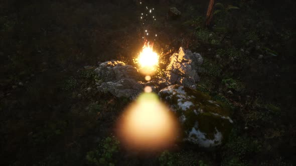 Campfire at Mountain Rorest at Night alt