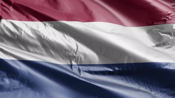 Netherlands flag waving on the wind. Slow motion. 20 seconds loop.