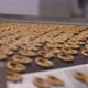 Snacks production Closeup conveyor, baked pretzel snacks - VideoHive Item for Sale