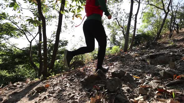 Fitness asian woman running on trail at sunrise tropical forest