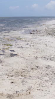 Vertical Video of Low Tide in the Ocean Near the Coast of Zanzibar Tanzania