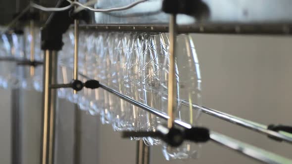 Manual Feeding of Bottles Into the Automatic Conveyor Line for Bottling Mineral Water in the Plastic