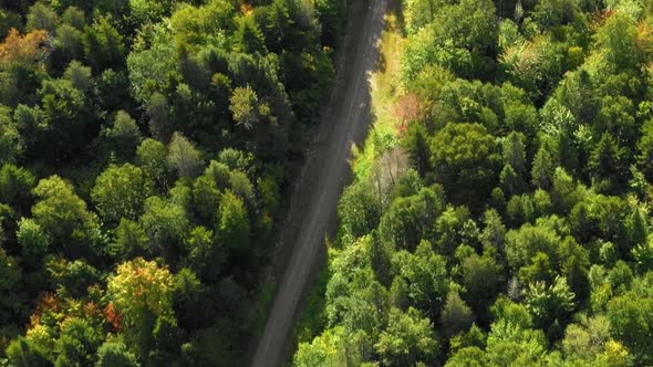 Aerial footage of remote forest in northern Maine TOP DOWN CLOSE UP of dirt road leading to camps on