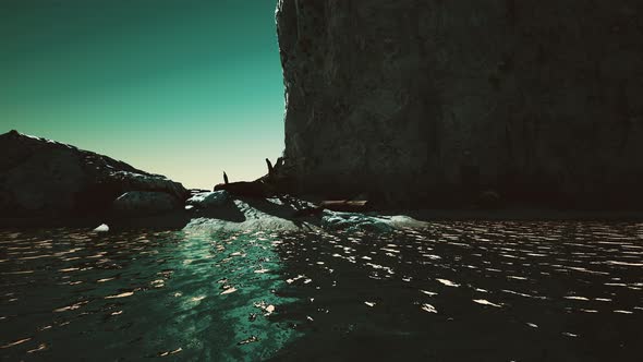 Hyperlapse of Rocky Beach with Dead Trees