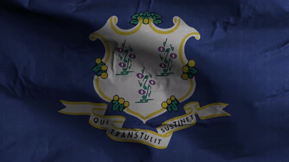 Connecticut State Flag 4K