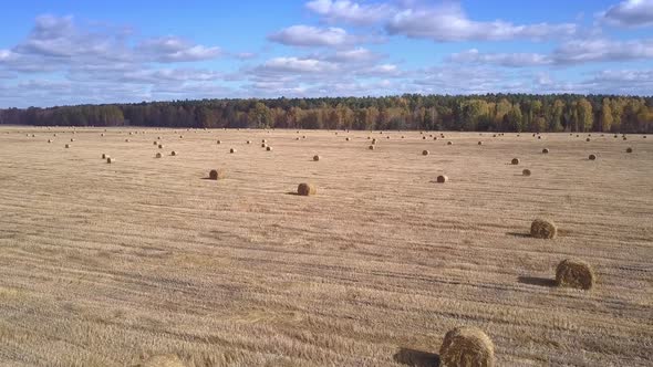 Aerial View Girl Walks on Field with Big Straw Rolls