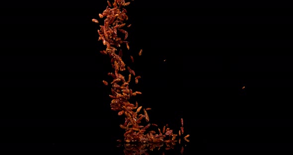 Cayenne Chili Pepper, capsicum frutescens, spice falling against Black Background, Slow Motion 4K