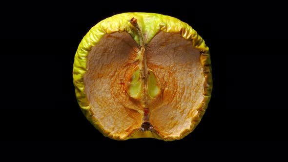 Drying green apple time lapse shot. Granny Smith fruit quickly desiccate