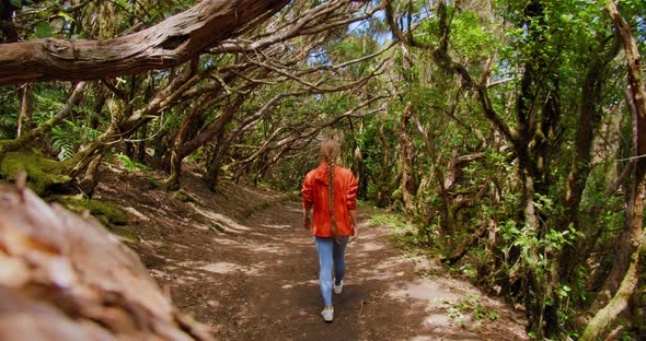 Beautiful Girl Hiker Walking in the Laurisilva Woods